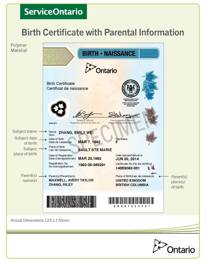 a birth certificate with parental information