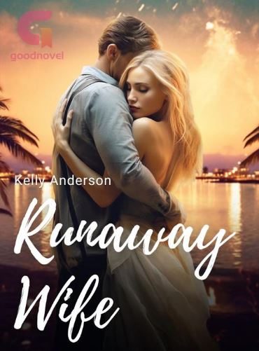 Runaway-Wife-novel