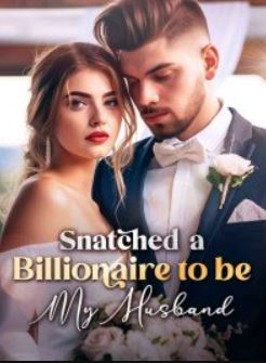 Snatched a Billionaire to be My Husband Novel