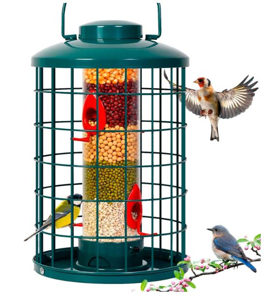 squirrel proof caged bird feeder