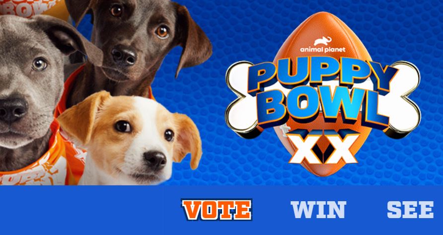 puppy-bowl-2024-vote