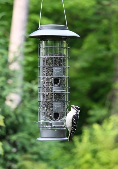 spring loader bird feeder